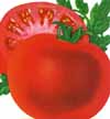 v_tomatobigbeef.jpg